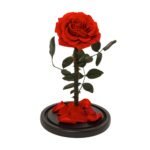 Forever Rose a perfect gift for her