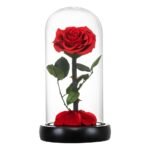 Forever Rose a perfect gift for her