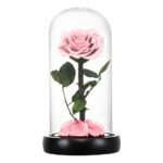 Forever Rose in Glass Real Preserved Rose