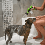 High Pressure Sprayer Nozzle: The Best Way to Give Your Dog a Bath