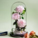 Forever Rose in Glass Real Preserved Rose